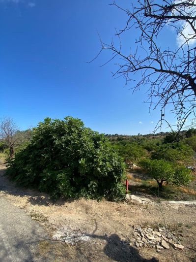 Image No.18-2 Bed Country House for sale