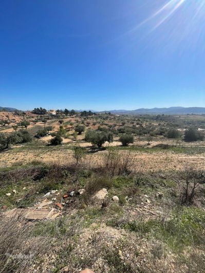 Image No.39-Maison de 3 chambres à vendre à Raspay