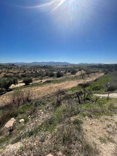 Image No.40-Maison de 3 chambres à vendre à Raspay