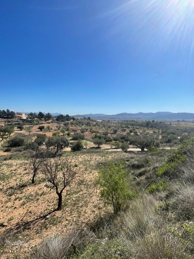 Image No.41-Maison de 3 chambres à vendre à Raspay