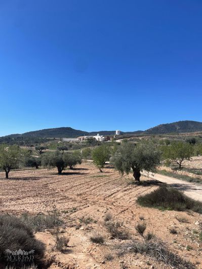 Image No.5-Maison de 3 chambres à vendre à Raspay