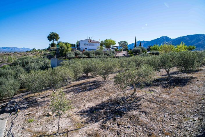 Image No.47-Finca de 4 chambres à vendre à Santomera