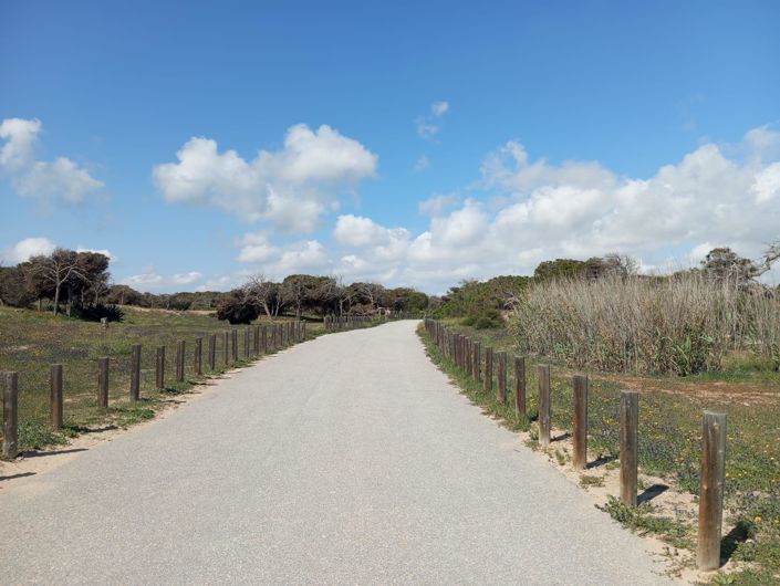 Image No.31-Bungalow de 2 chambres à vendre à Guardamar del Segura