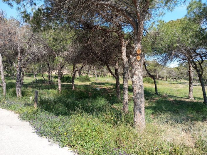 Image No.32-Bungalow de 2 chambres à vendre à Guardamar del Segura