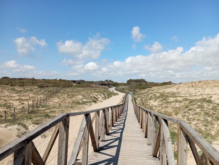 Image No.34-Bungalow de 2 chambres à vendre à Guardamar del Segura