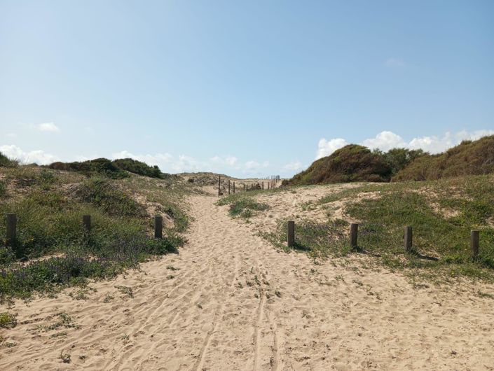 Image No.36-Bungalow de 2 chambres à vendre à Guardamar del Segura