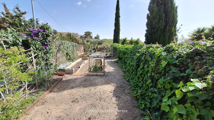 Image No.32-3 Bed Country House for sale