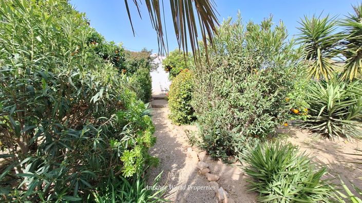 Image No.35-3 Bed Country House for sale