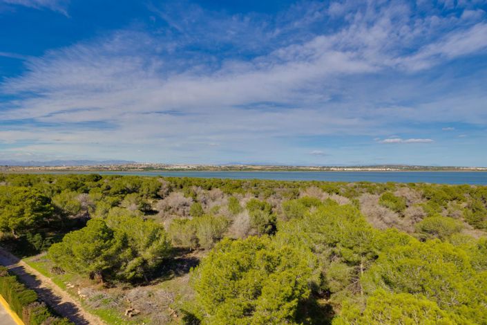 Image No.34-Appartement de 3 chambres à vendre à Torrevieja