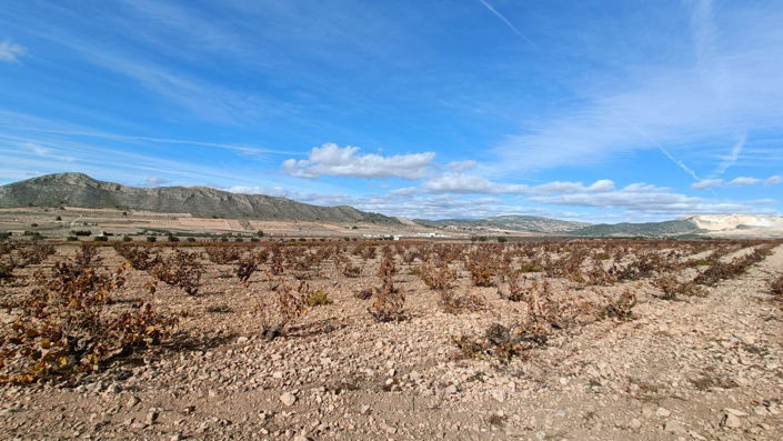 Image No.25-3 Bed Villa for sale