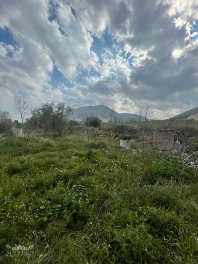 Image No.31-2 Bed House for sale