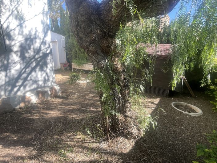 Image No.8-4 Bed Villa for sale