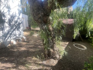 35807-for-sale-in-cabo-roig-12134357-large