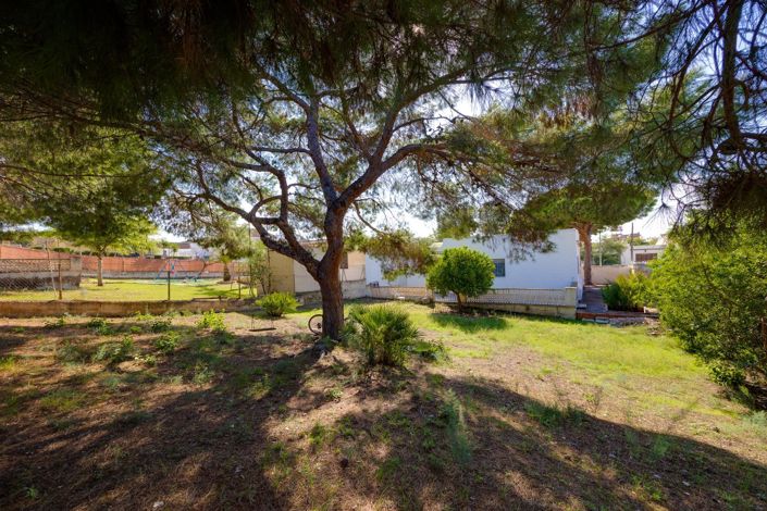 Image No.31-Villa de 3 chambres à vendre à Torrevieja