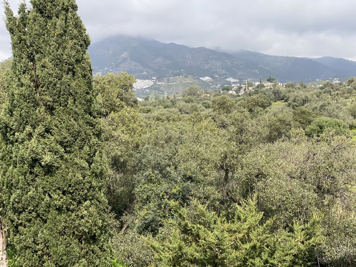 Image No.14-Appartement de 2 chambres à vendre à Mijas