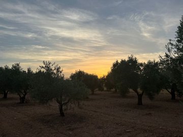 o1jmaqo8buqhhvv2141v9trht2d