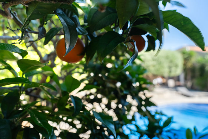 Image No.37-4 Bed Villa for sale