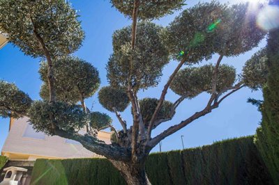 w078ad60c-021e-490d-9ba7-08a512268701