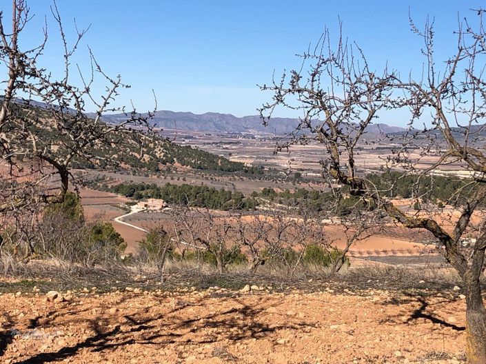 Image No.43-Villa de 6 chambres à vendre à Encebras