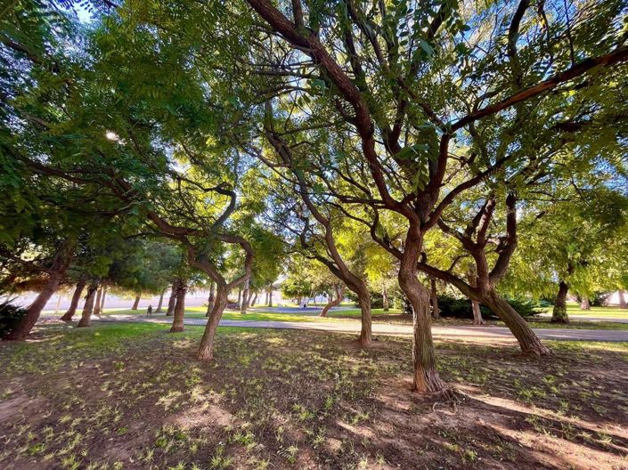 Image No.42-Maison de ville de 6 chambres à vendre à Torrevieja