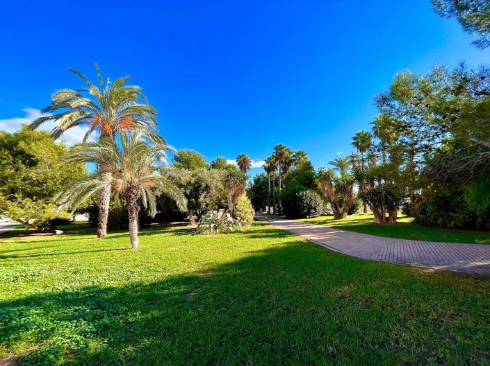Image No.44-Maison de ville de 6 chambres à vendre à Torrevieja