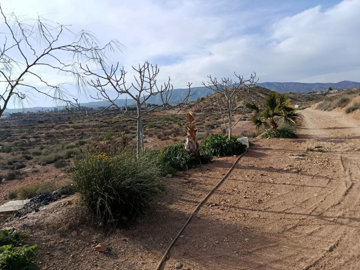 propertyattachment1pbfmc6ygu20260227055722