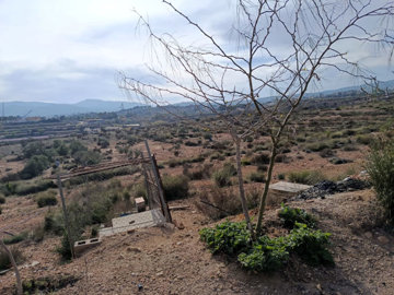 propertyattachment1ynlfdin3e20260227055720