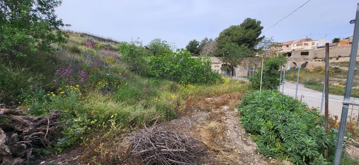 Image No.29-Maison de ville de 3 chambres à vendre à Casas del Señor