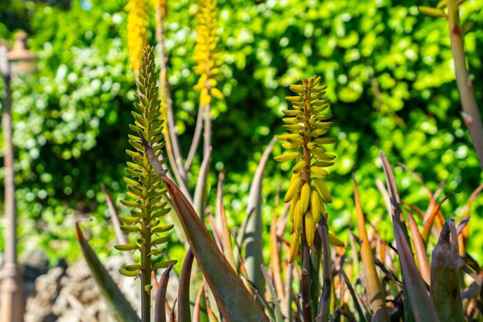 Image No.28-4 Bed Villa for sale