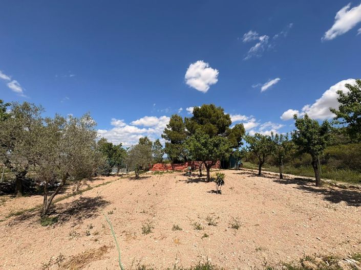 Image No.10-3 Bed Villa for sale