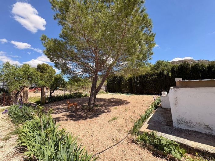 Image No.11-3 Bed Villa for sale