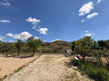 wc5b1972c-d0bd-4f2a-98a8-a7128d741063