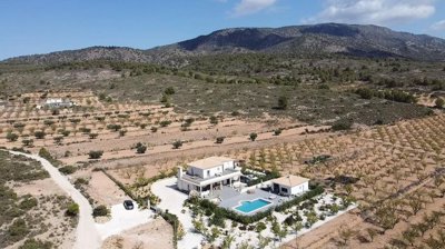 wyuz6rasdykftwx4yut8o