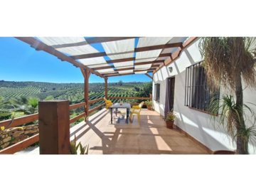country-house-in-alora-2-large