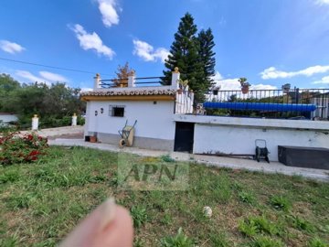 country-house-in-alora-4-large