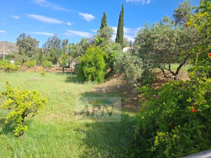 Image No.8-2 Bed Country House for sale