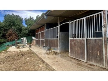 country-house-in-cartama-8-large