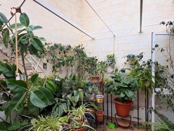 village-house-in-pizarra-11-large