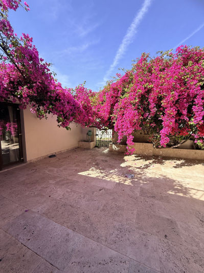 Image No.5-3 Bed Villa for sale