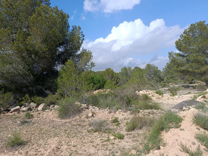 Image No.3-Villa for sale