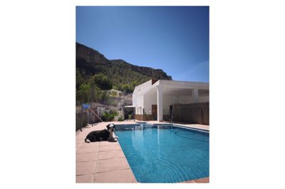 wresale-finca-country-property-crevillente270