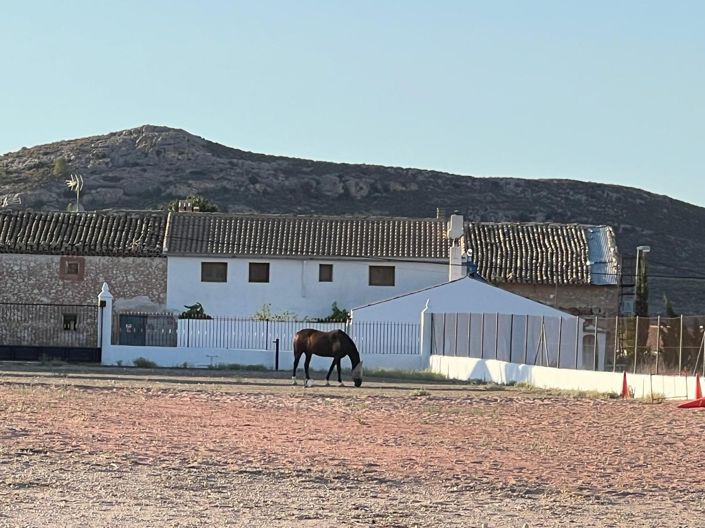 Image No.32-3 Bed Villa for sale