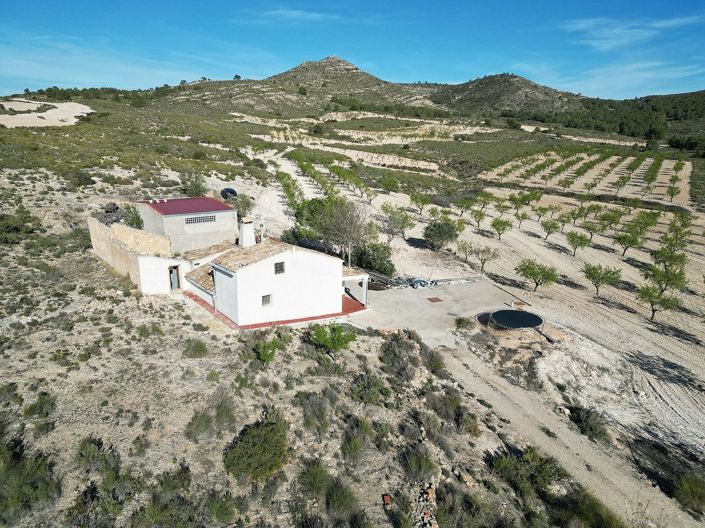 Image No.22-5 Bed Country House for sale