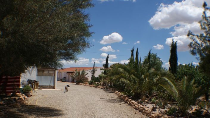 Image No.35-7 Bed Finca for sale