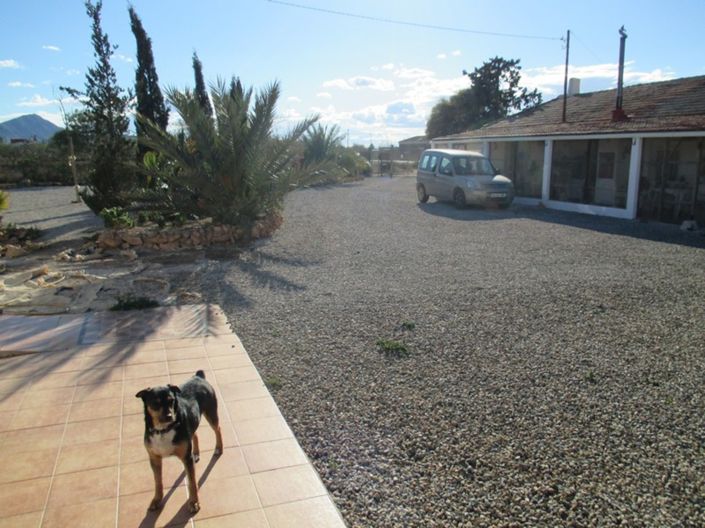 Image No.37-7 Bed Finca for sale