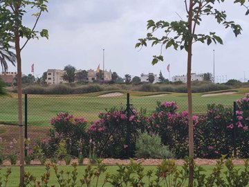 477-apartment-for-sale-in-los-alcazares-17491