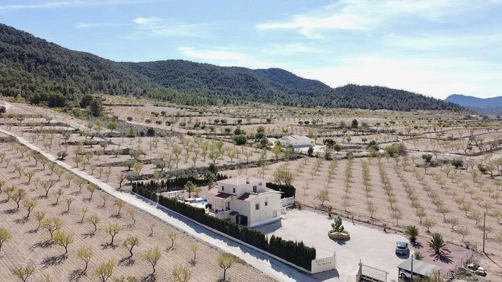 Image No.3-4 Bed Villa for sale