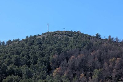 8330oli-5