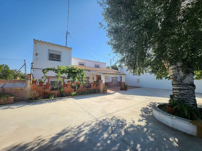 Image No.48-Villa de 7 chambres à vendre à Villena