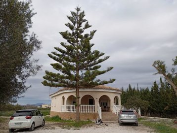 34427-for-sale-in-daya-vieja-20264659-large